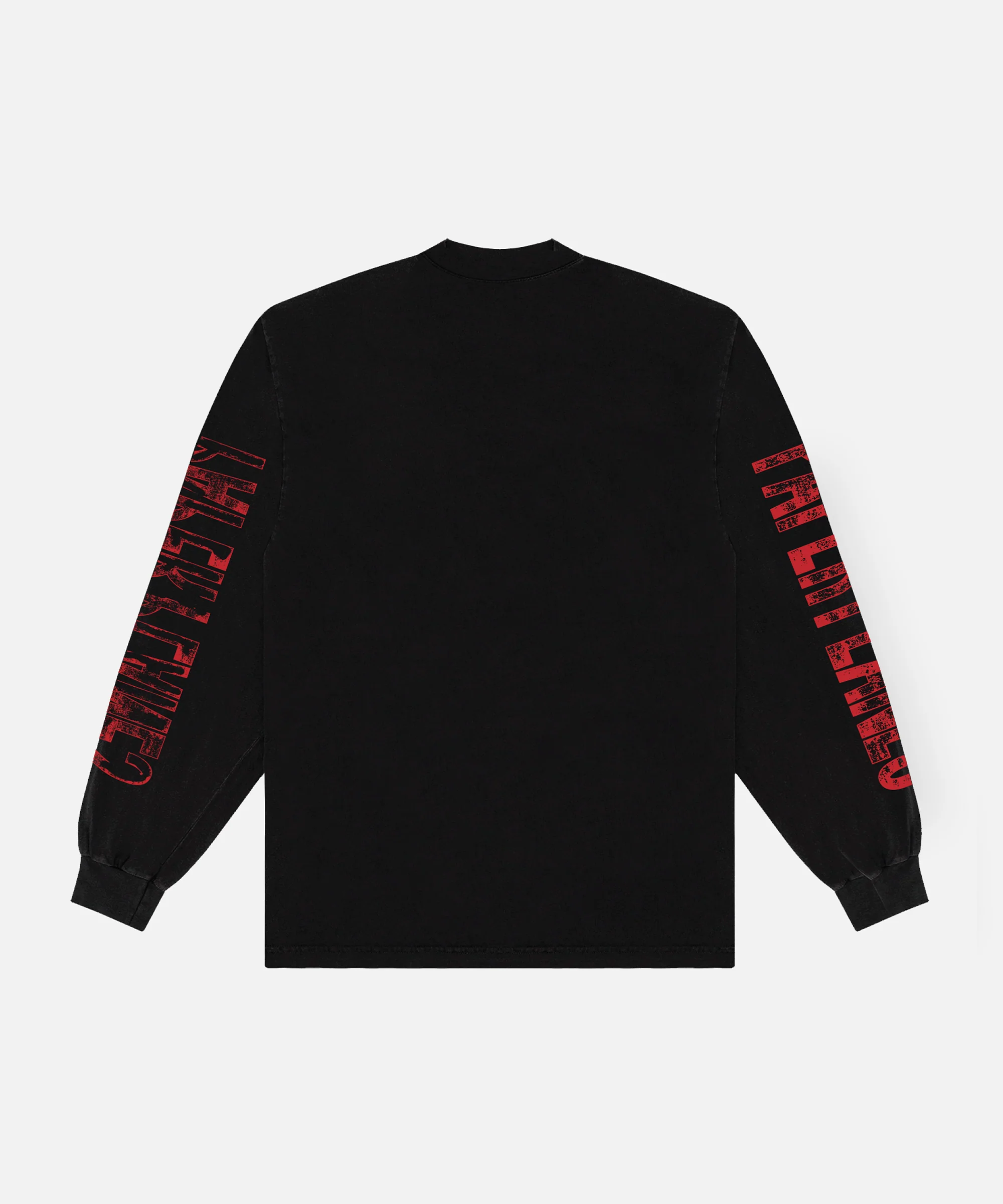 Dreamer to Believer Long Sleeve Tee - Image 3
