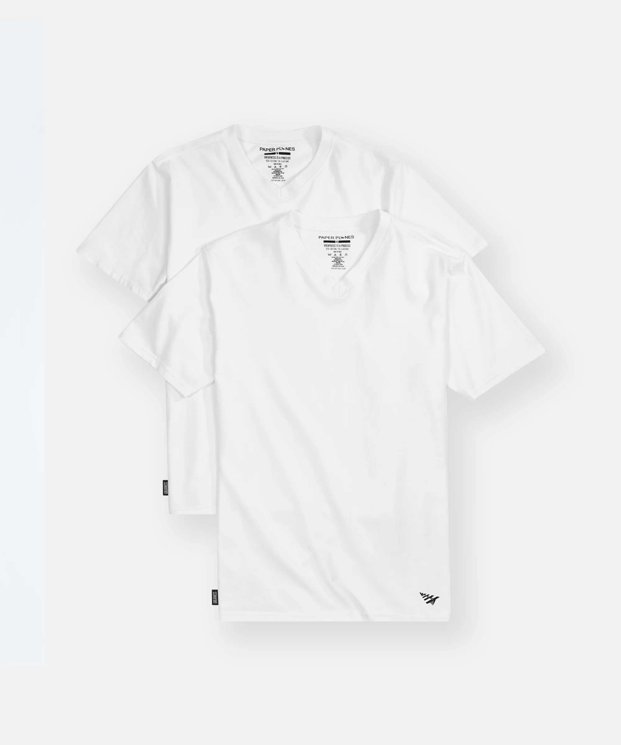 Essential 2 Pack V-Neck Tee
