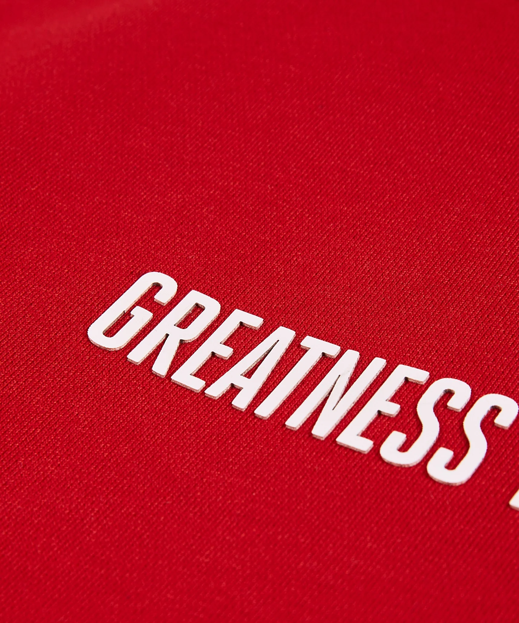 Greatness is a Process Heavyweight Hoodie - Image 3